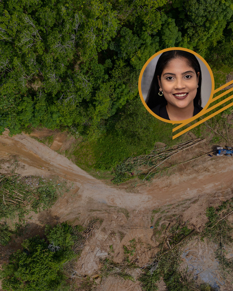 licenciamento-ambiental-site